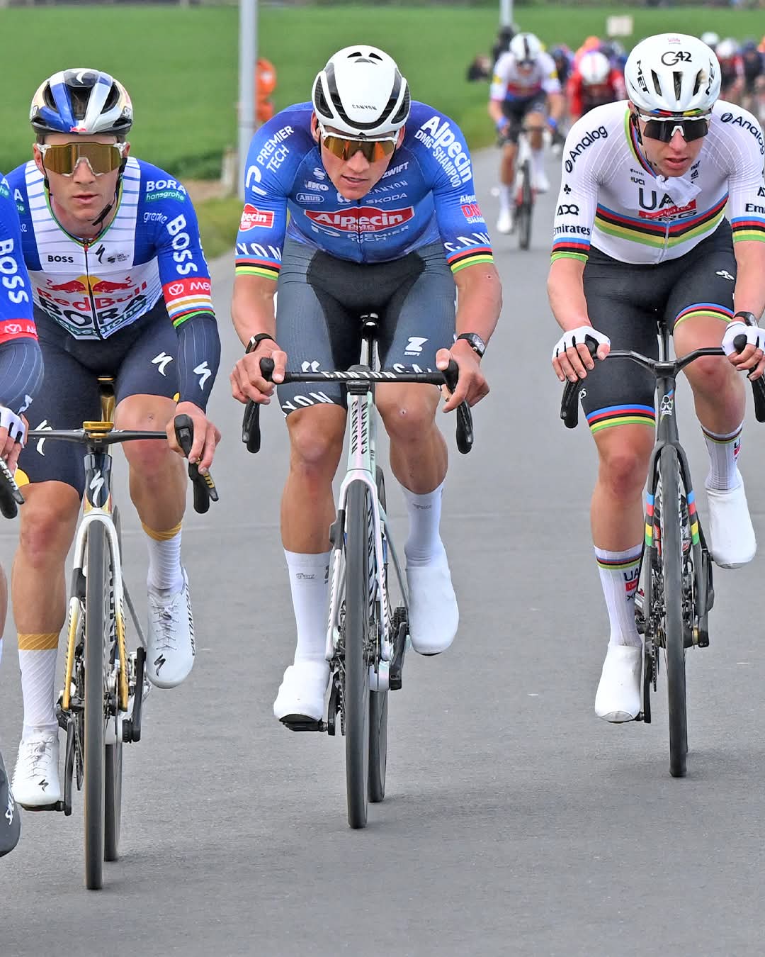 PAGELLE DEL GIRO DELLE FIANDRE